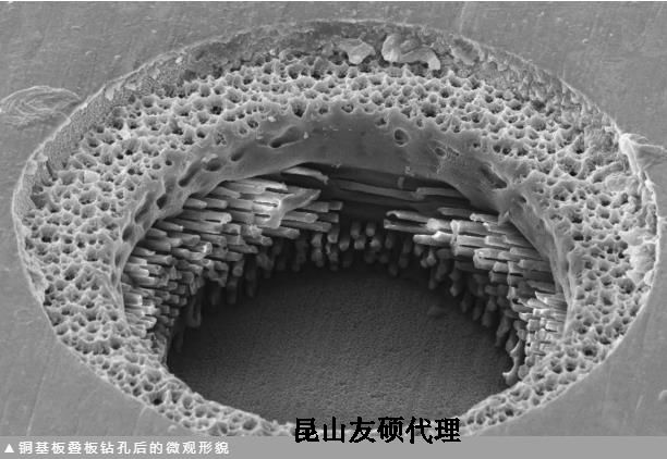 白银蔡司白银扫描电镜